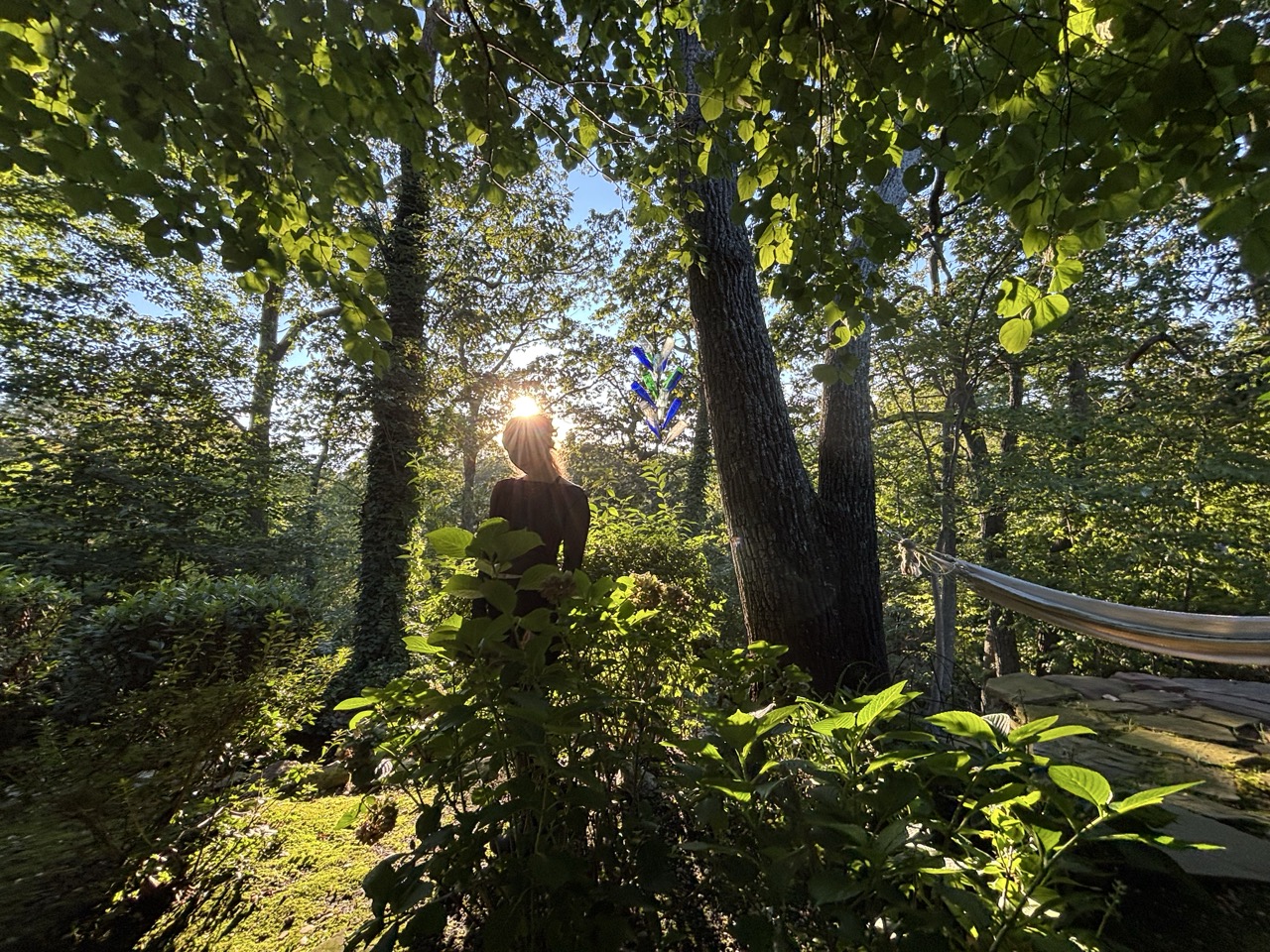 Sunlit figure standing in a wooded garden
